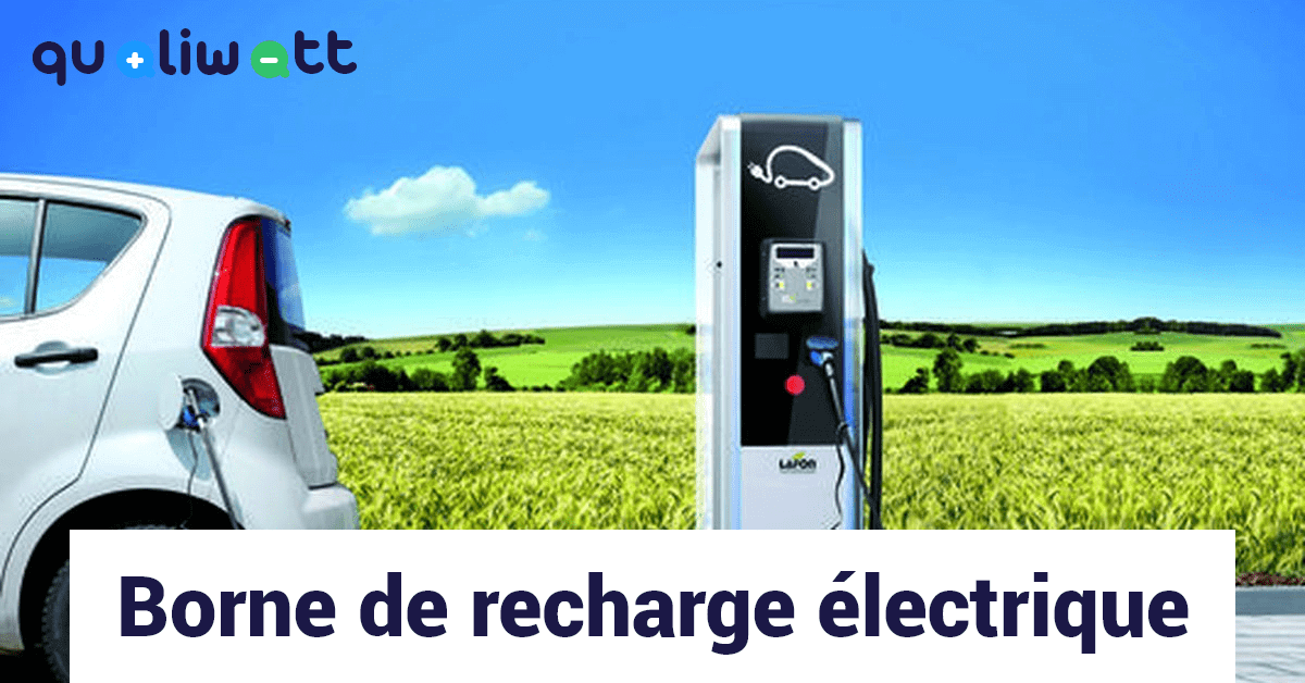 Pack Schneider electric - Protection Électrique borne monophasée 7 kw